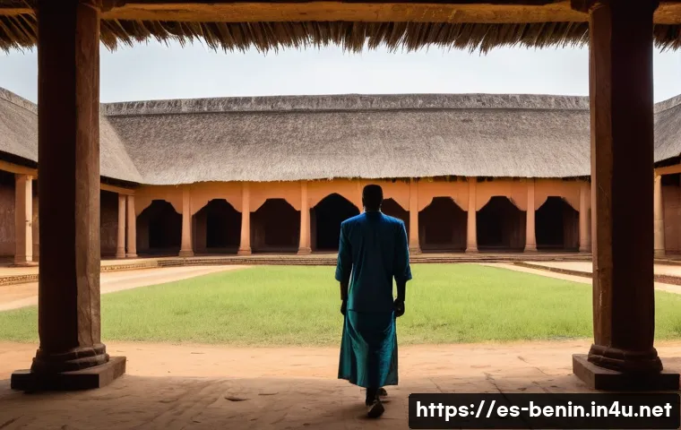 Benín y el Franco CFA: Los Trucos Infalibles para Cambiar tu Dinero como un Experto 4 베냉의 화폐와 환전 방법 관련 이미지 2